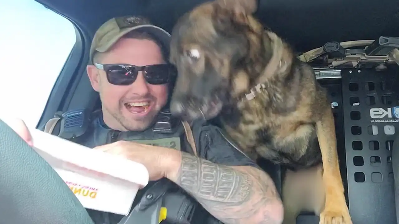 When Police Dogs Forget Their Job π Funny Dog Videos 2025